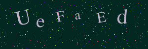 Validation image