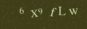 Validation image